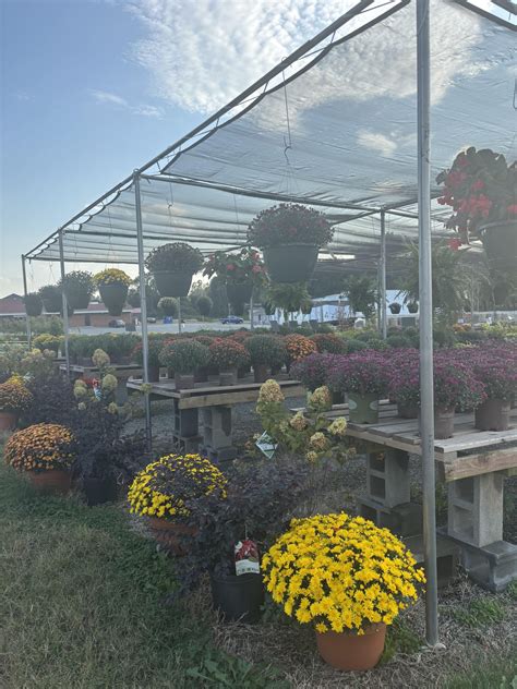 Leonard Farm - Leonard Farm added a new photo.