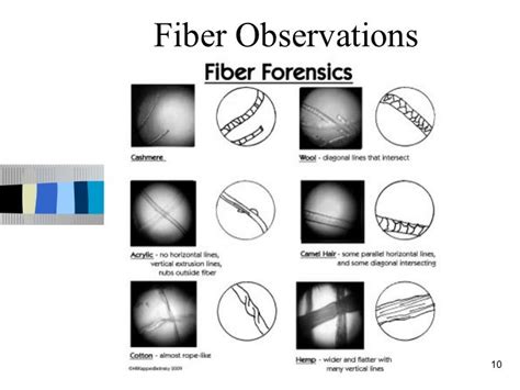 Introduction to fibers