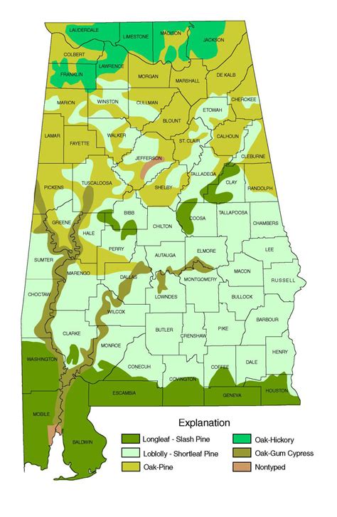 Alabama Forests - Discovering Alabama