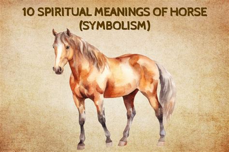 10 Spiritual Meanings Of Horse Symbolism