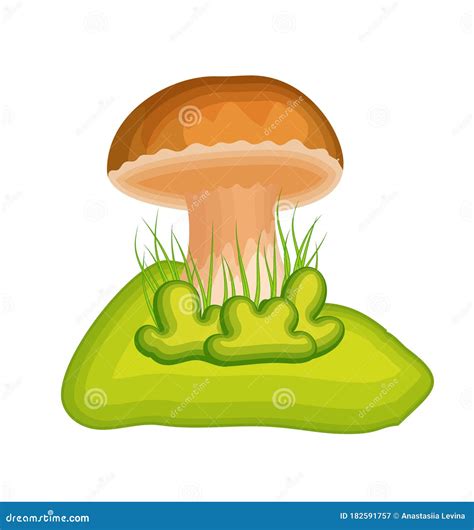 Cartoon Mushroom With Grass Stock Vector Illustration Of Shiitake