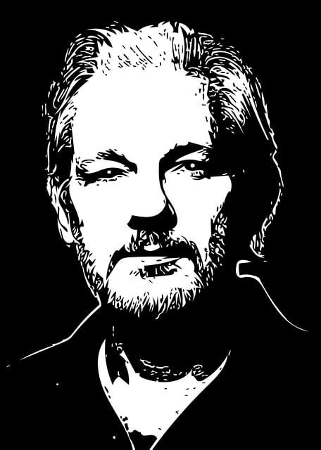 Download Assange, Julian, Wikileaks. Royalty-Free Stock Illustration ...