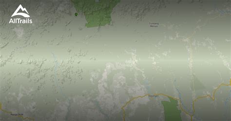 camping trails  katingan alltrails