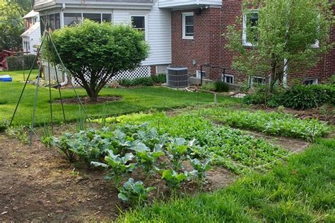 Backyard Vegetable Garden Design Ideas - Home Design Inside