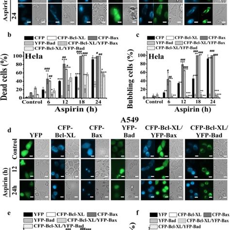 Aspirin Induces Cytotoxicity In Multiple Tumor Cell Lines A B Aspirin