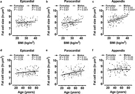 Full Article Identifying Sex Differences In Predictors Of Epicardial