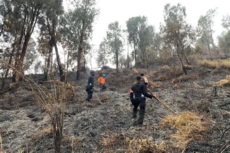 Kebakaran Di Gunung Lawu Karanganyar Meluas Hingga 100 Hektar Water