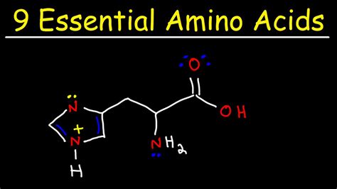 Essential Amino Acids