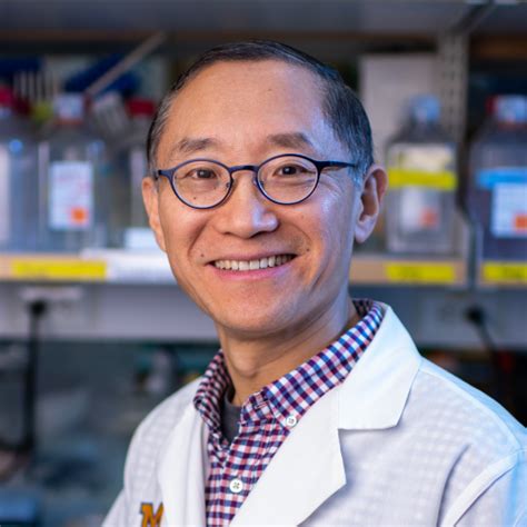 Department of Pathology - Researchers find common immune system