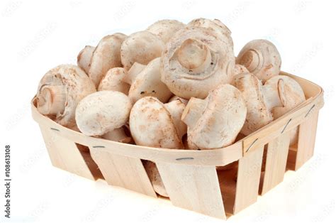 Barquette De Champignons De Paris Stock Photo Adobe Stock