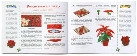 Проснякова Т.Н. «Цветы». Энциклопедия технологий прикладного творчества ...