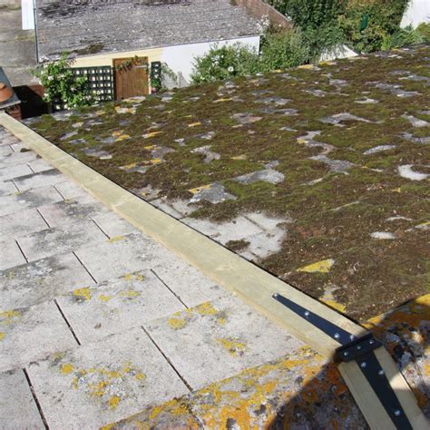 Roof Cleaning Moss Removal And Protective Coatings Tmco The