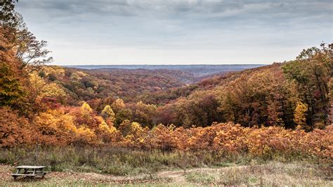 Indiana Fall Landscape - Mark Loveless Photography