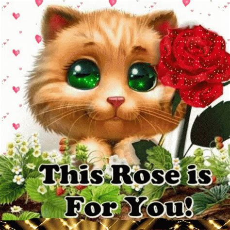 Cat Flower GIF - Cat Flower ThisRoseISForYou - Discover & Share GIFs ...