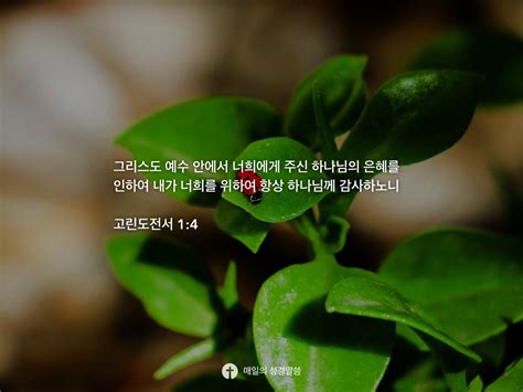 고린도전서 14 Daily Bible Inspirations