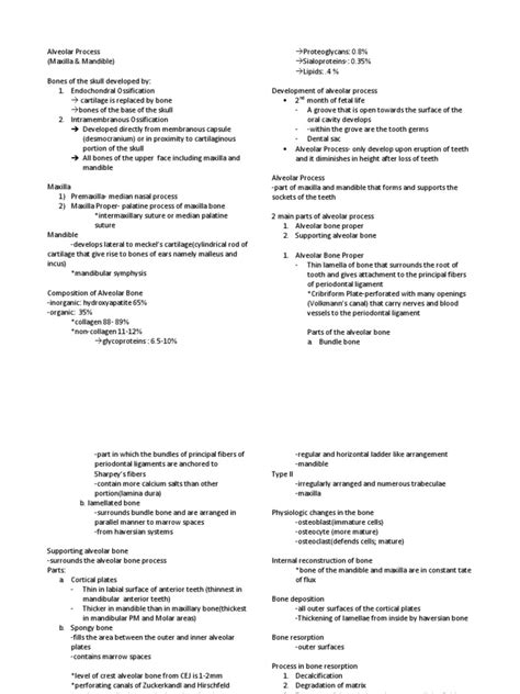 Alveolar Process | PDF | Bone | Human Tooth