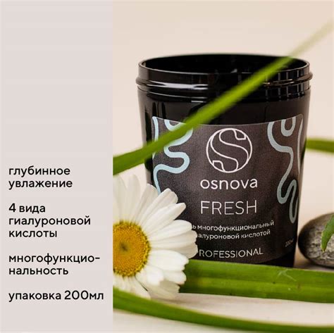 ГЕЛЬ С ГИАЛУРОНОВОЙ КИСЛОТОЙ OSNOVA FRESH PROFESSIONAL - Интернет ...