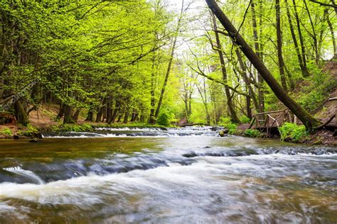 Szumy na Tanwi Cascadas en el río Tanew Roztocze Roztochia Parque