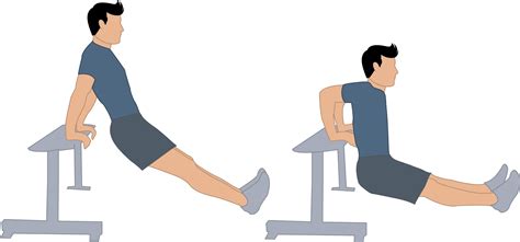 Dips Exercice Musculation Nutritionfr