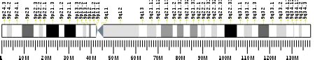 Chromosome 9 open reading frame 116 - Wikipedia