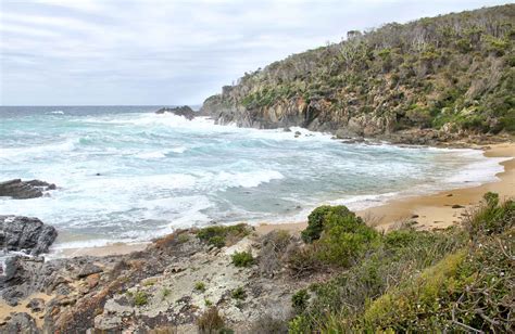 Picnic Point campground | NSW National Parks