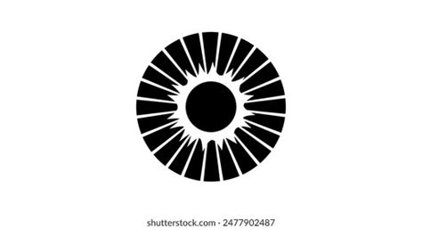 Iris Anatomical Poster Human Eye Structure Stock Vector (Royalty Free) 2477902487 | Shutterstock