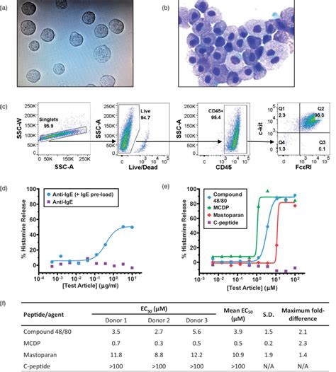 Characterization of CD34 þ stem cell derived mature human mast cells