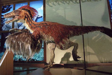 Dinosaurs with Feathers: The Trek from Theropods to Modern Birds | My ...