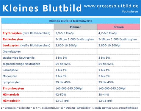 Blutbild Erkl Rung Und Alle Wichtigen Fragen Zum Blutbild Einfach