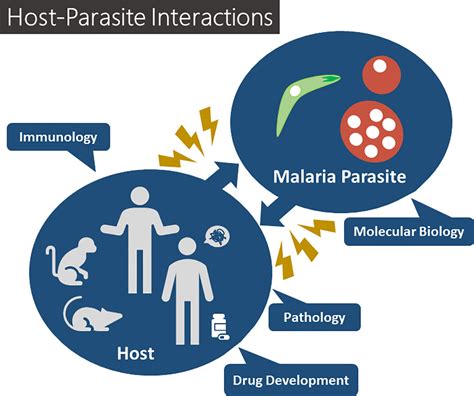 Parasite Host Relationship