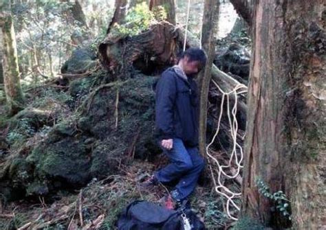 日本死亡森林每年數百人吊死其中知道原因後為日本感到悲哀 每日頭條