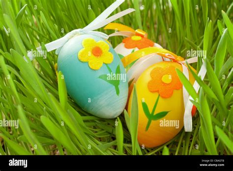 Easter eggs hidden in the green grass Stock Photo - Alamy 