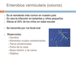 Parasitosis En La Infancia Durante La Etapa Ppt