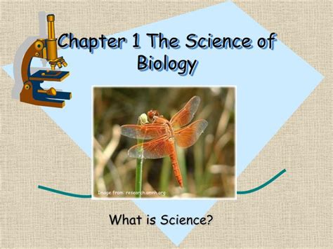 Ppt Chapter 1 The Science Of Biology Powerpoint Presentation Free