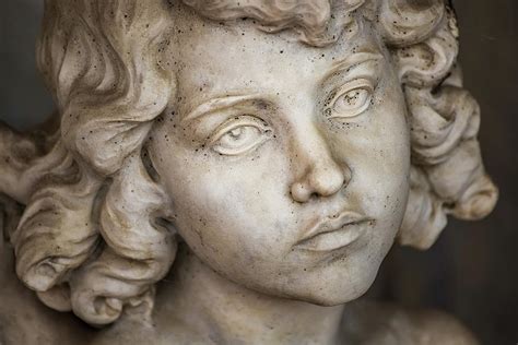 Face Of Angel Photograph By Vivida Photo PC Fine Art America