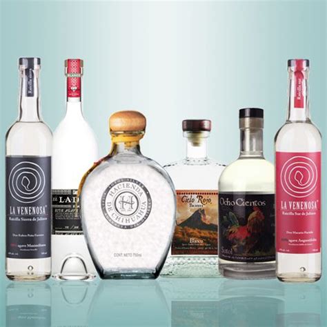 Know Your Agave Spirits Tequila Is Just The Start