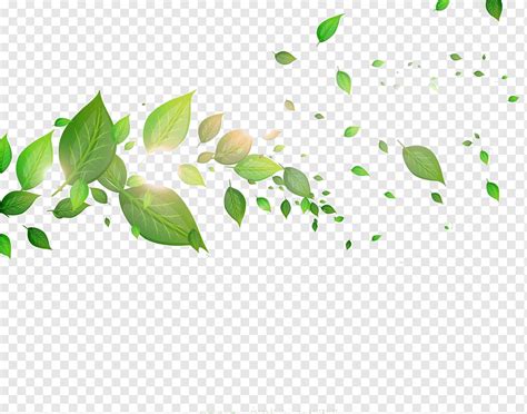 Leaves Leaves Float Green Leaves Png PNGWing