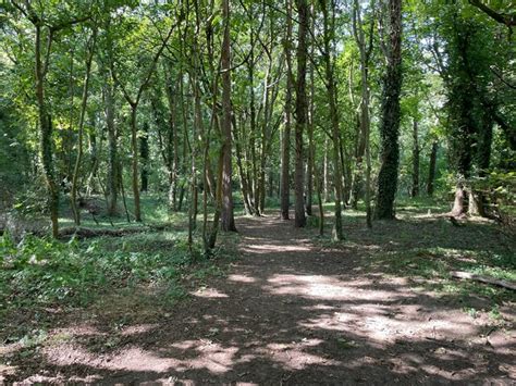 Footpath In Fulbourn Fen Nature Reserve Mr Ignavy Cc By Sa 2 0