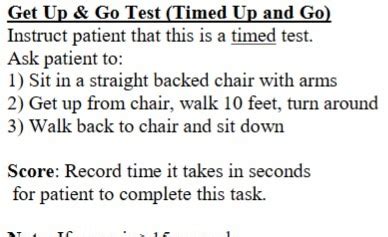 Palmer Geriatrics Midterm Killinger Wellness And Aging Flashcards