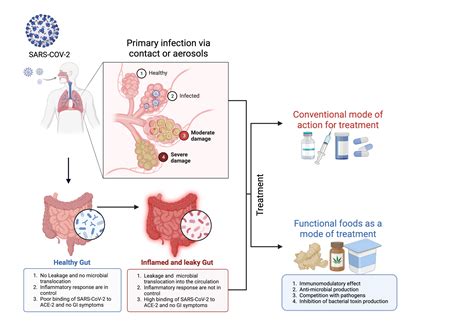 Nutrients Free Full Text Functional Foods A Promising Strategy For