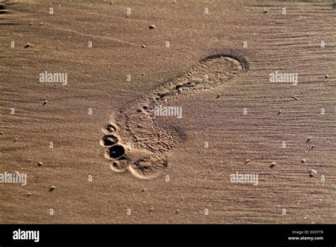 Human Footprint Hi Res Stock Photography And Images Alamy