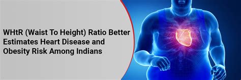 WHtR Waist To Height Ratio Better Estimates Heart Disease And Obesity