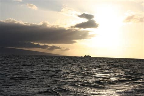 picture ocean water surface