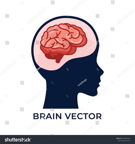 Silhouette Head Brain Vector Detailed Flat Stock Vector Royalty Free