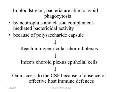 Neurosensory System PPT