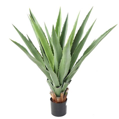 Agave Furcrae Artificiel Vert Cm Artiplantes