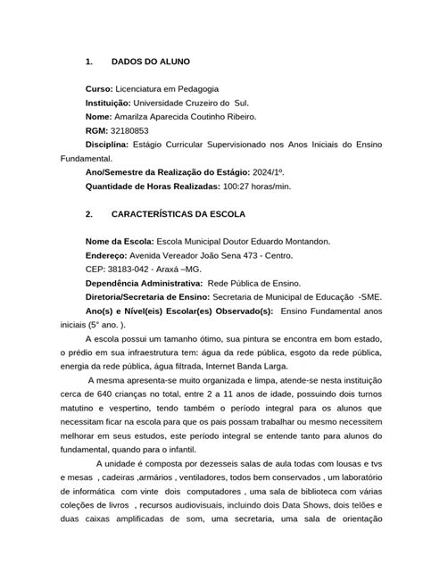Relatório Estágio Ensino Fundamental Anos Iniciais - AMARILZA | PDF ...