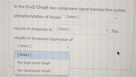 Solved In The Envz Ompr Two Component Signal Transduction Chegg