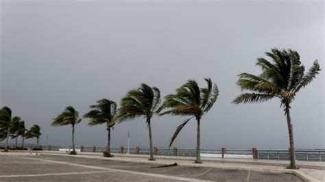 Se forma ciclón tropical 22 cuándo tocará tierra en México El