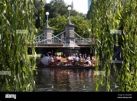 Swan Boats, Public Garden, Boston, Massachusetts Stock Photo - Alamy